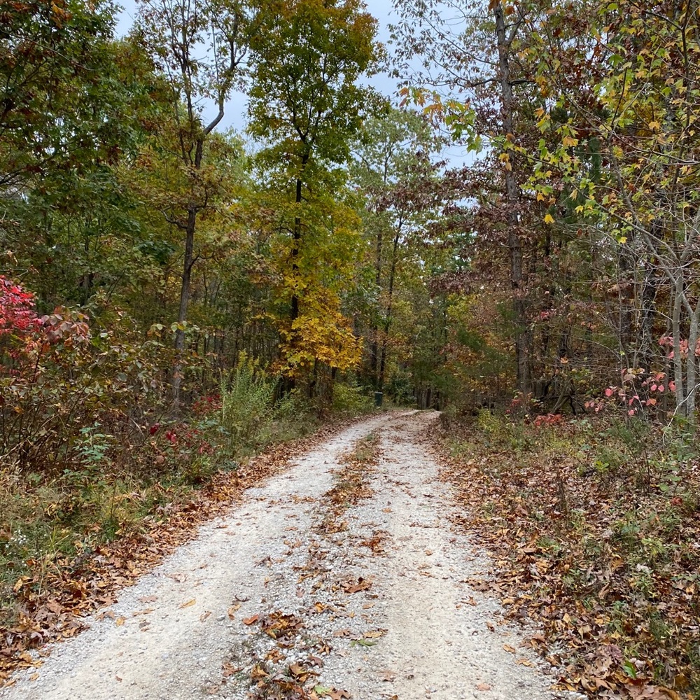 Meet your Posher, Bekah